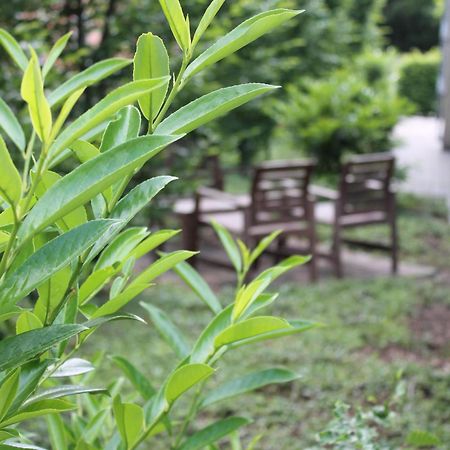 Pur Hotel Emlichheim エクステリア 写真