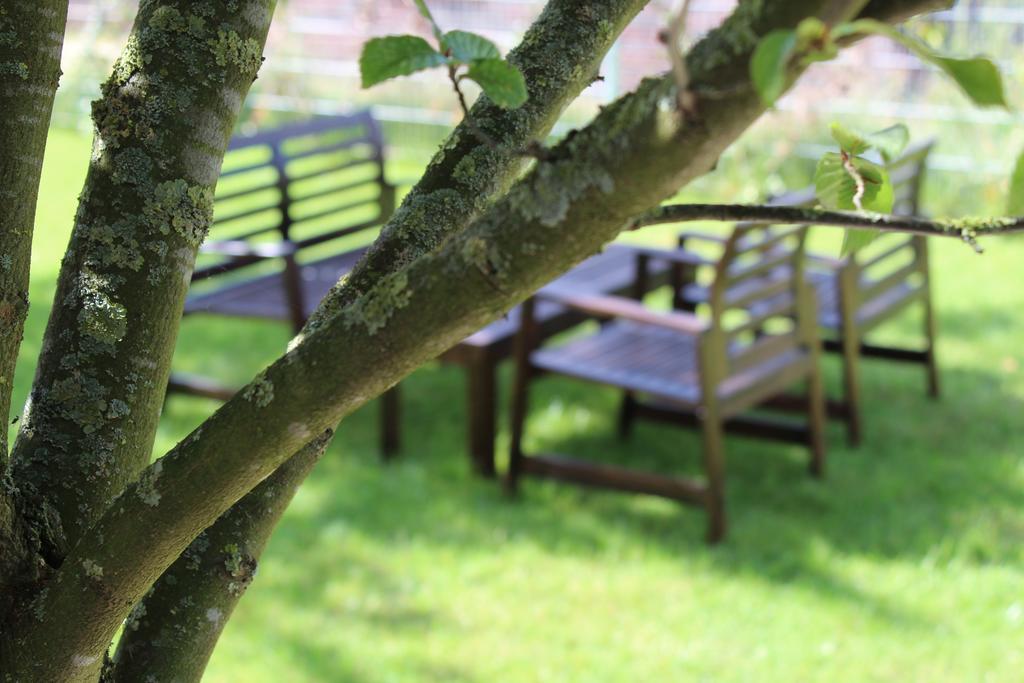 Pur Hotel Emlichheim エクステリア 写真